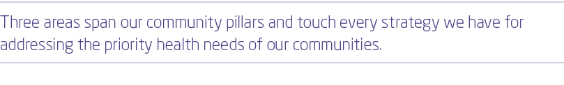 Three areas span our community pillars and touch every strategy we have for addressing the priority health needs of o...