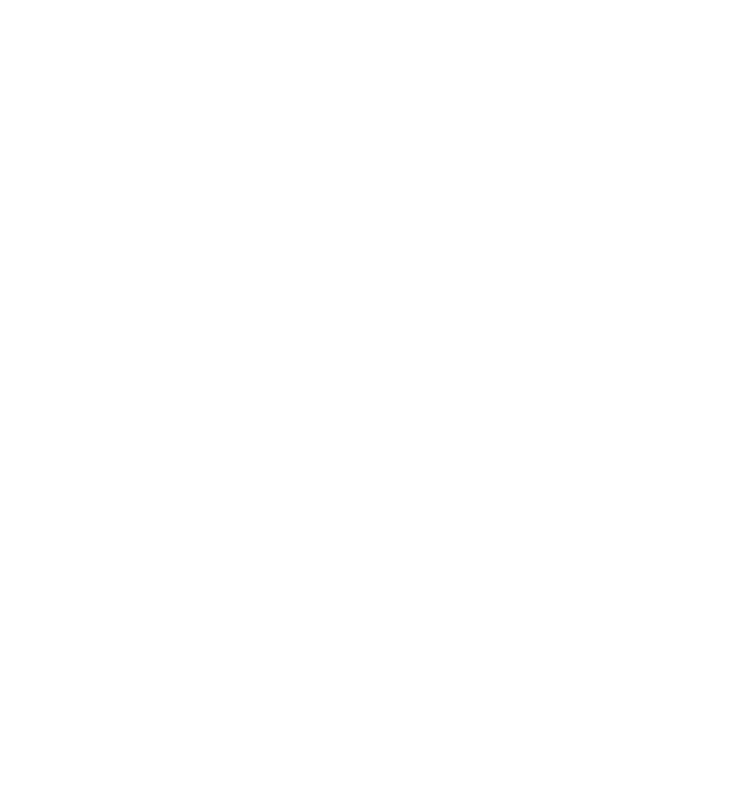 Completing the Assessment Northwestern Medicine performed the CHNA from March 2024 through August 2025. We collaborat...