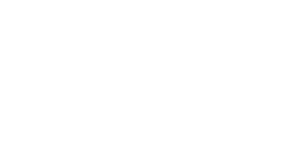 2025 Community Health Needs Assessment Northwestern Medicine Palos Hospital 