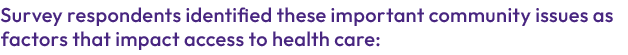 Survey respondents identified these important community issues as factors that impact access to health care: