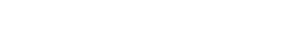 Priority Health Needs for Northwestern Medicine Valley West Hospital