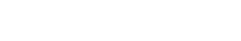 Priority Health Needs for Northwestern Medicine Kishwaukee Hospital