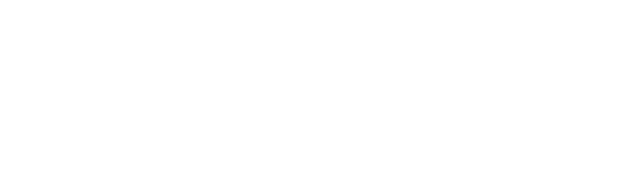 Community Health Implementation Plan 2024 – 2026 
