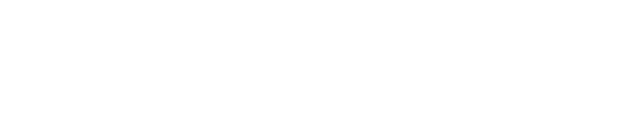 Priority Health Needs for Northwestern Medicine Delnor Hospital