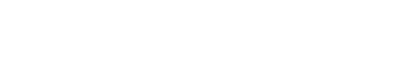 Development of a Plan to Address Priority Health Needs 