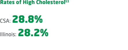 Rates of High Cholesterol11 CSA: 28.8% Illinois: 28.2% 