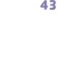 43