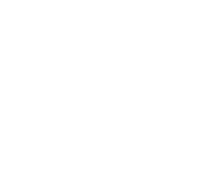 Introduction to the Community Health Needs Assessment