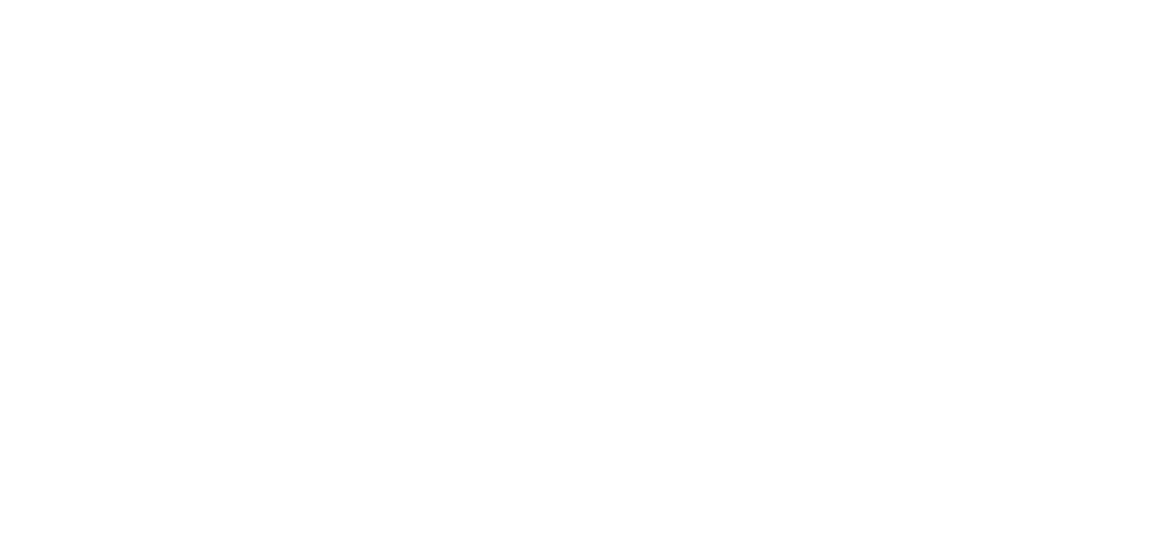 2026 Community Health Needs Assessment Northwestern Medicine Hospitals in McHenry County 