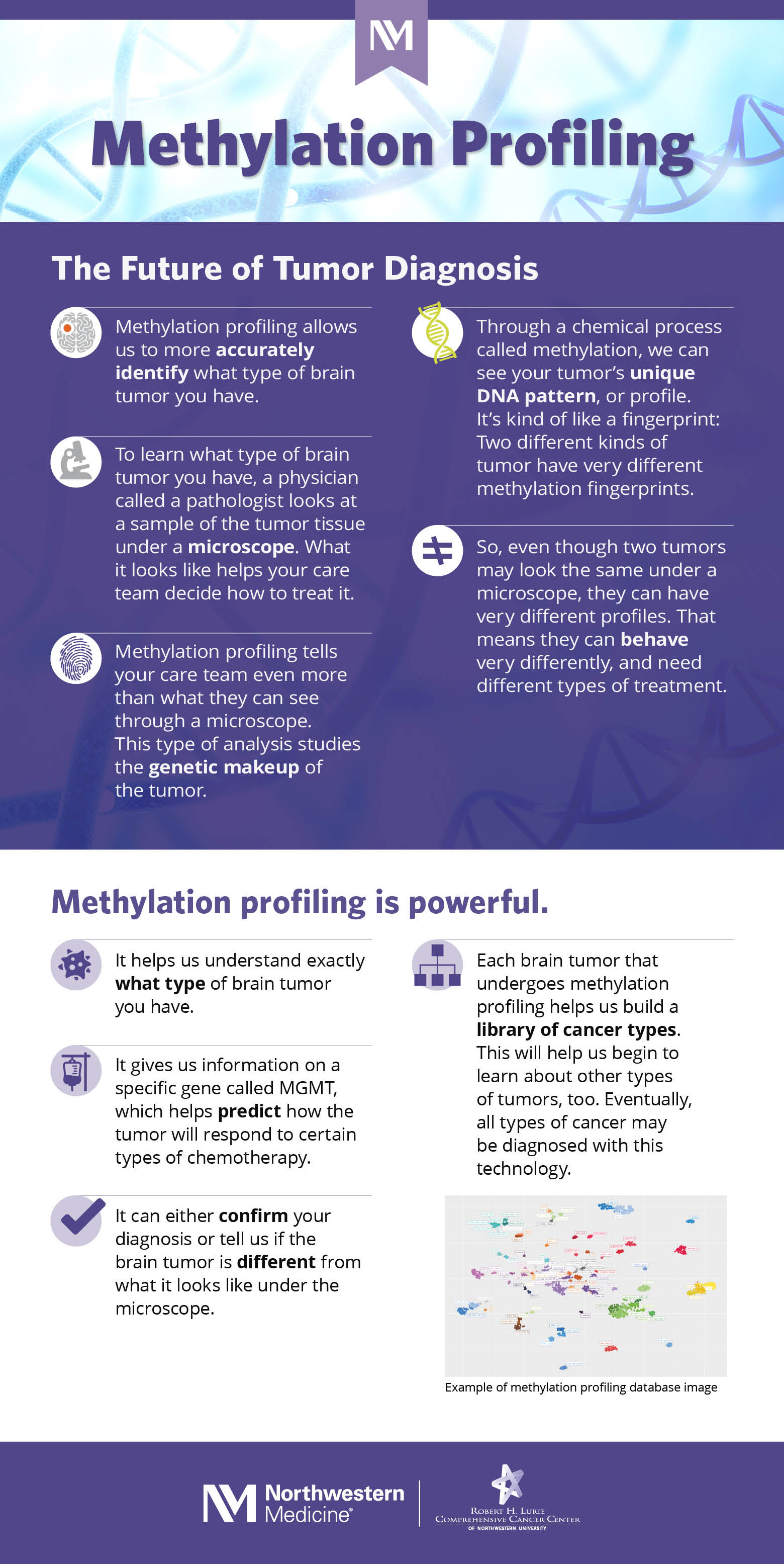 Infographic with title Methylation Profiling and subheadings The Future of Tumor Diagnosis and Methylation profiling is powerful. Includes example of methylation profiling database image.