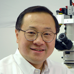 Alan Y. Chow, MD