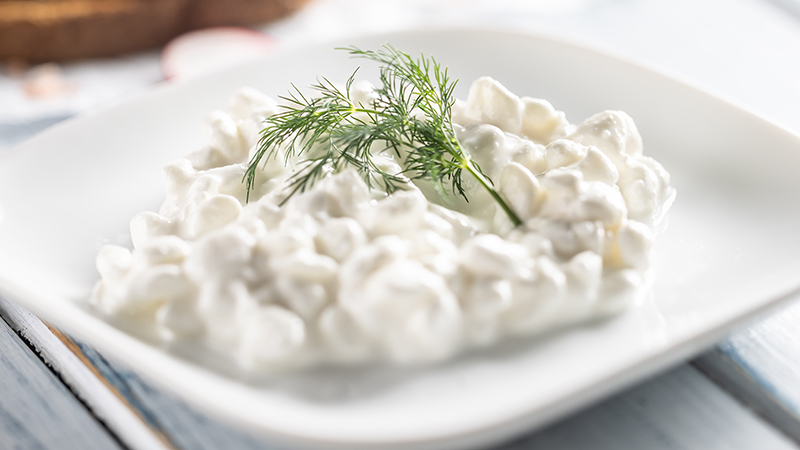 Cottage cheese on a plate with a sprig of dill.