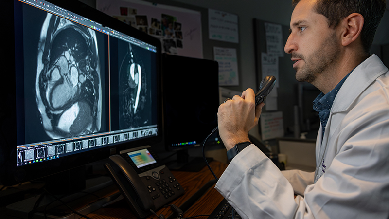 Physician wearing a white coat looking at heart scan images on a computer screen.