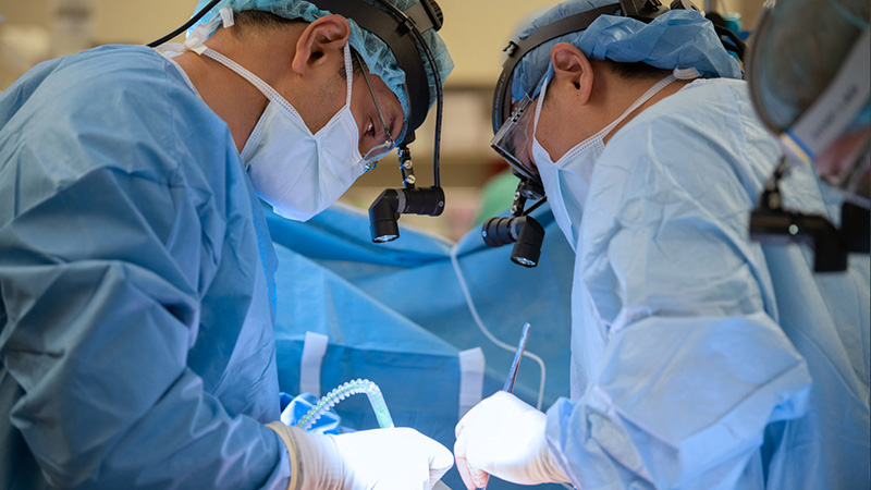 Two surgeons in the operating room.