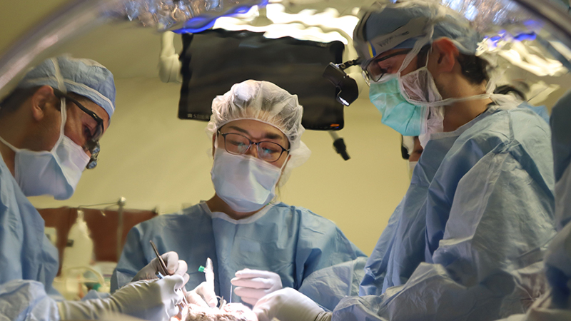 Northwestern Medicine transplant surgeons in the operating room using the ex vivo lung perfusion — or “lungs in a box” — device. 