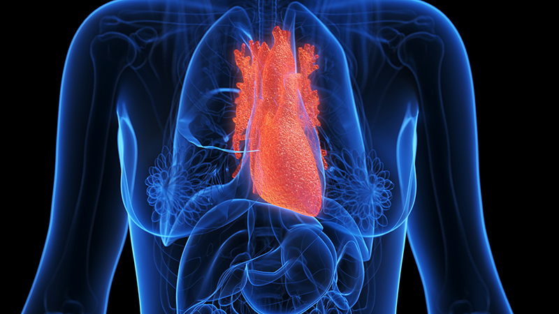 Illustration of an inflamed heart