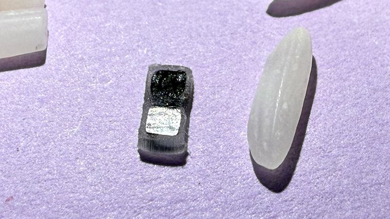 World’s smallest pacemaker shown next to grains of rice.